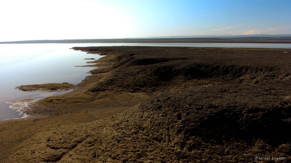 кубанское водохранилище рыбалка
