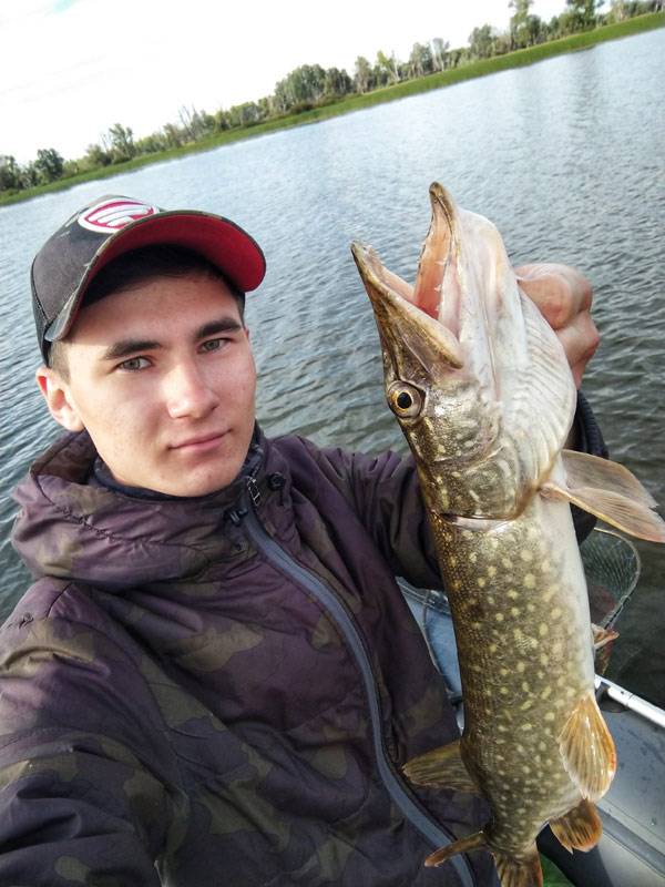 щука на вертушку