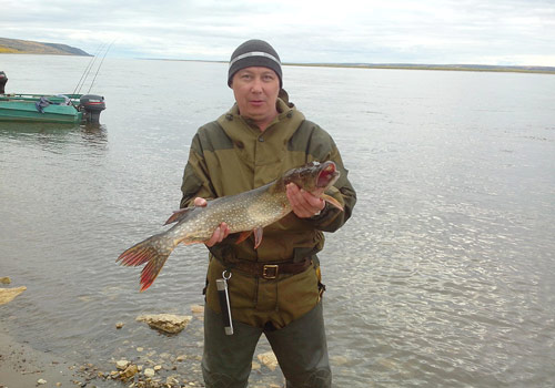 trophy b