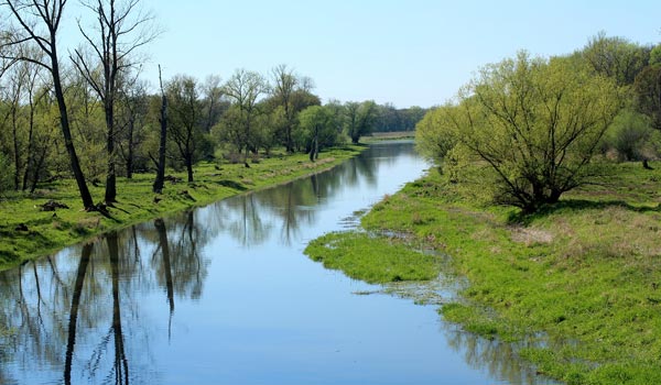 весна рыбалка