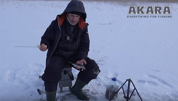 зимний окунь на Ладоге
