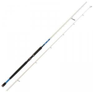 Спиннинг Savage Gear Salt 1DFR Shore Jigging